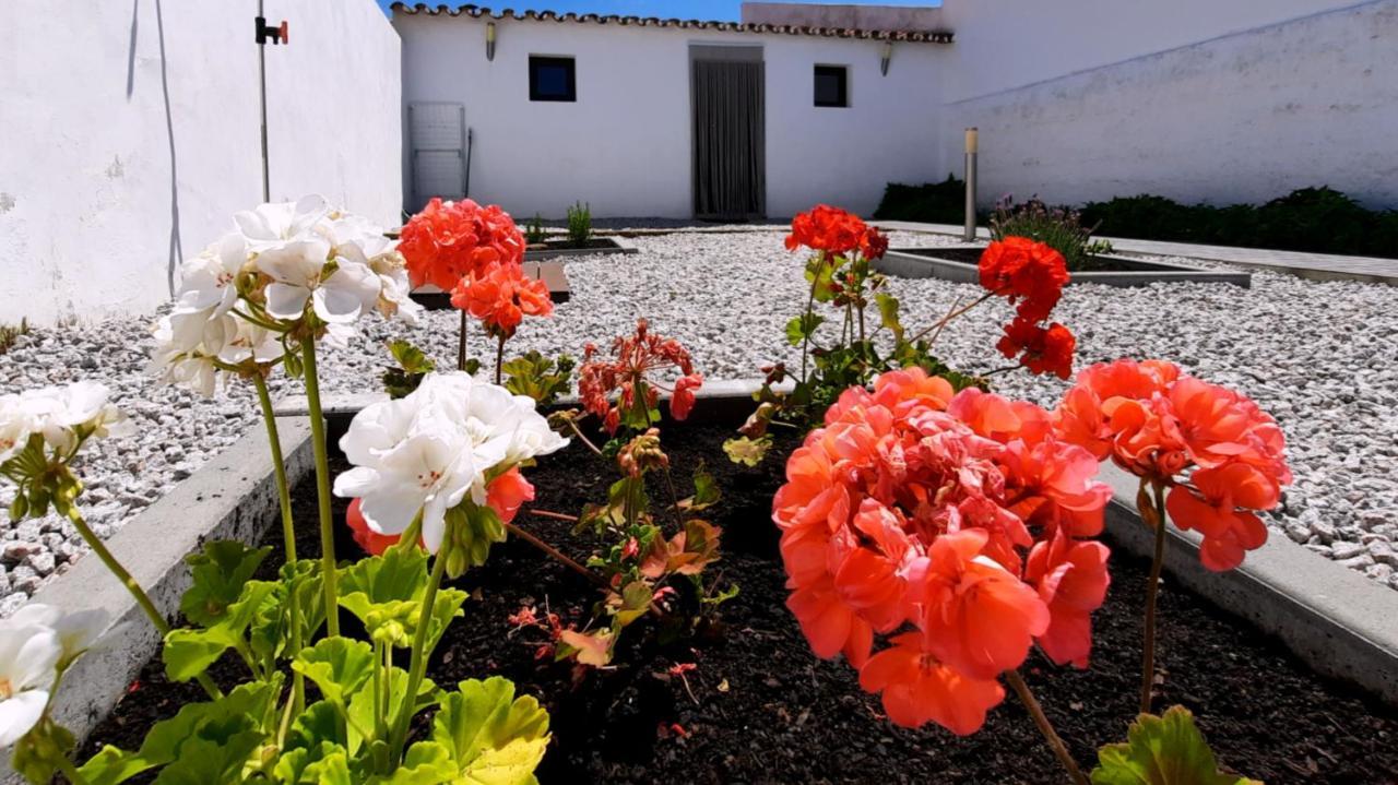Casa Dos Vizinhos - Casas De Taipa Villa São Pedro do Corval Exterior photo